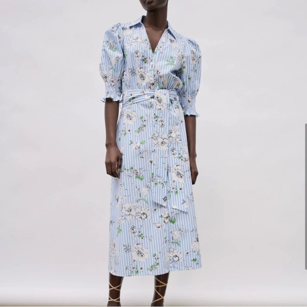 Zara - Picture 2 of 7